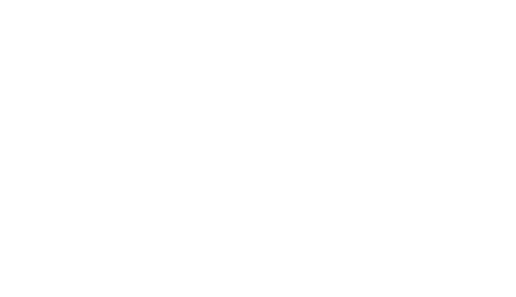 Logo DJI